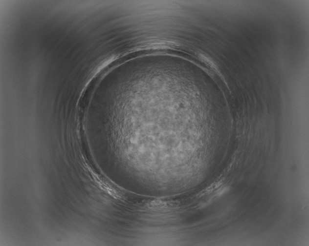 X0000058800827200510031318