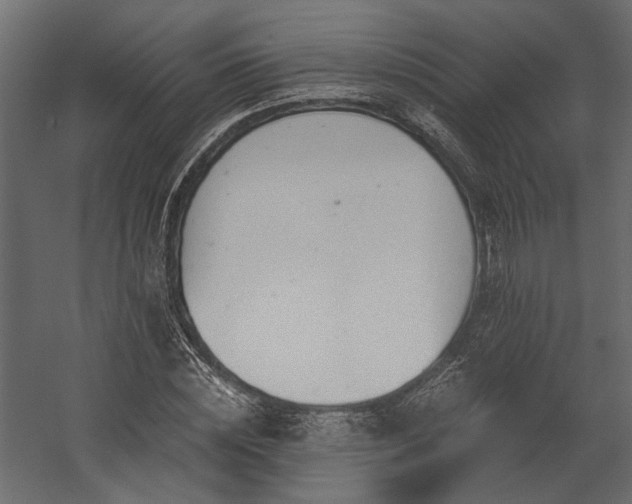 X0000058800828200510031318