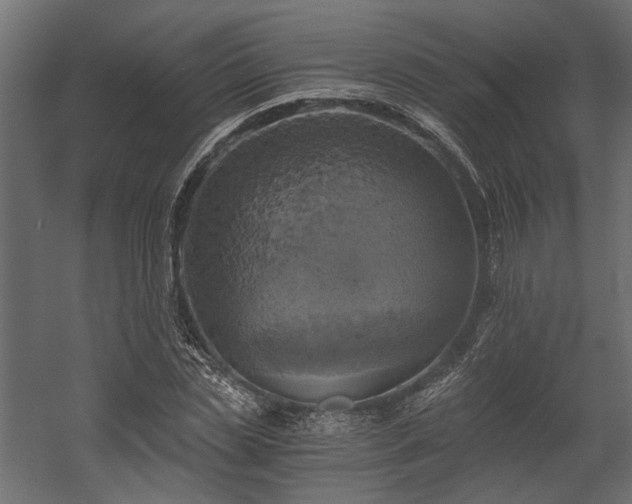 X0000058800829200510031318