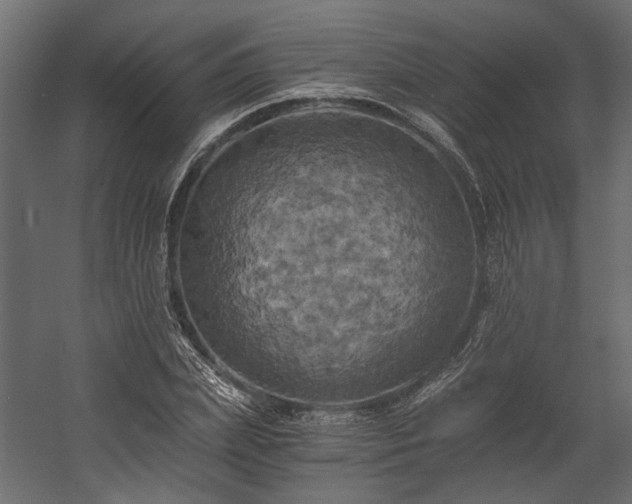 X0000058800831200510031318
