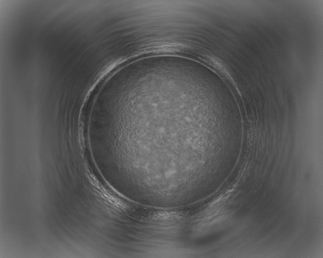 X0000058800835200510031318