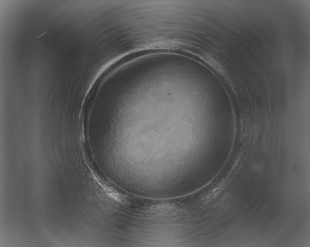 X0000058800838200510031318