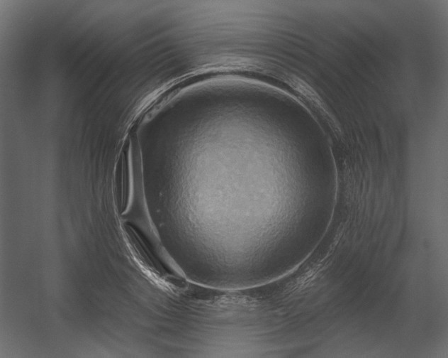 X0000058800842200510031318