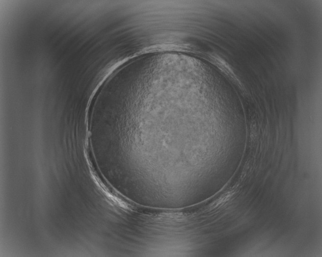 X0000058800844200510031318