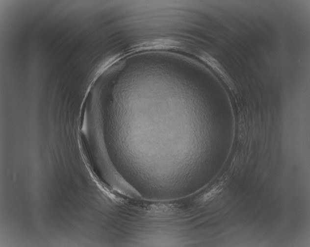 X0000058800850200510031318