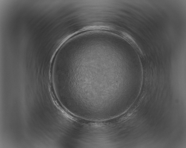 X0000058800852200510031318