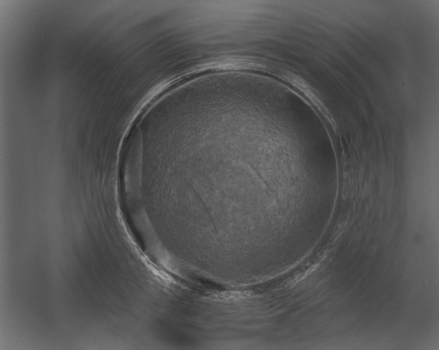 X0000058800853200510031318