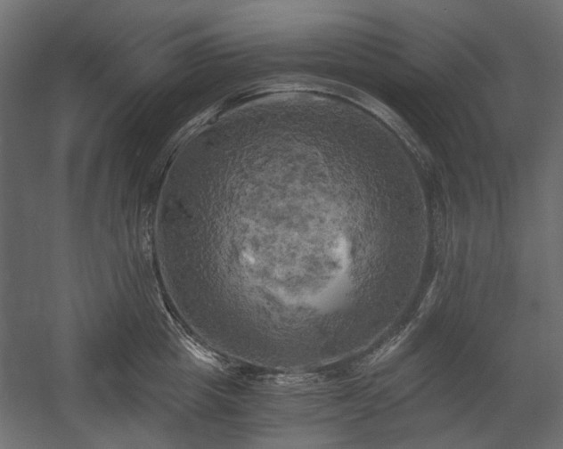 X0000058800857200510031318
