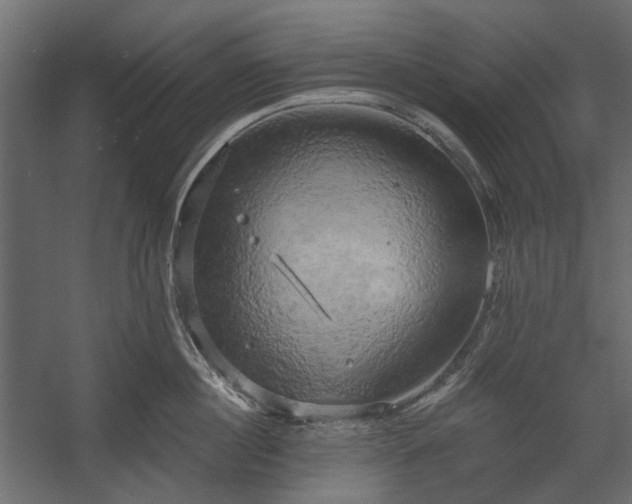 X0000058800860200510031318