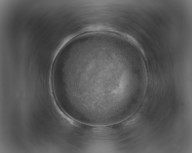 X0000058800863200510031318