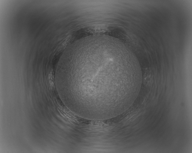 X0000058800866200510031317