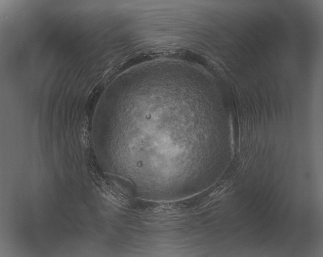 X0000058800867200510031317