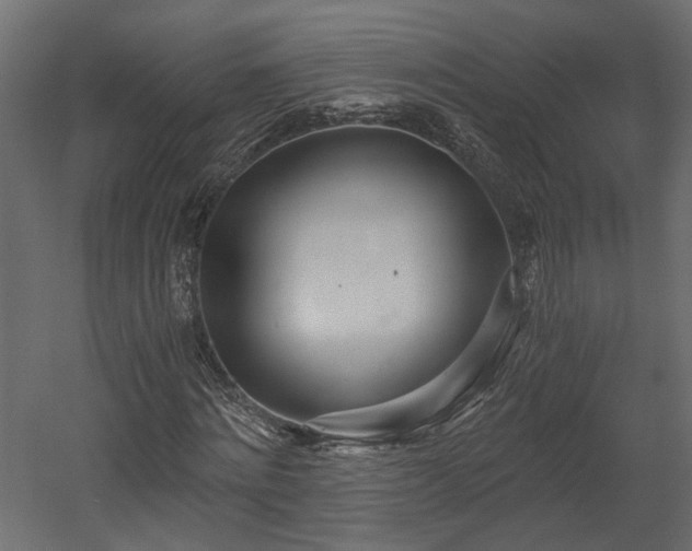 X0000058800868200510031317
