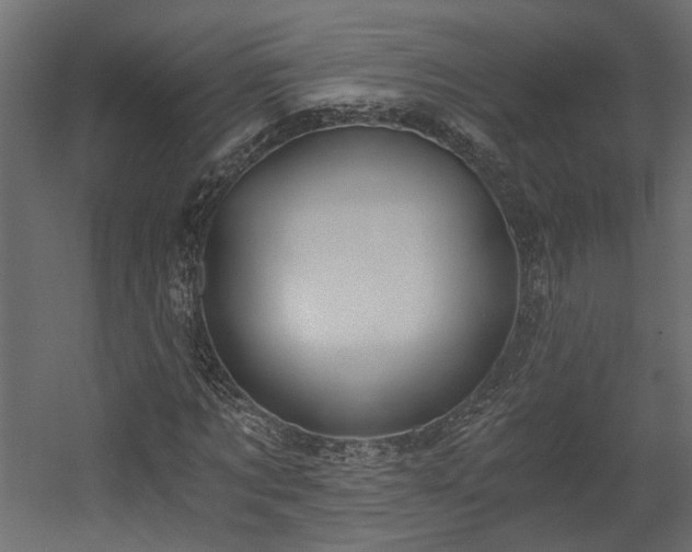 X0000058800869200510031317