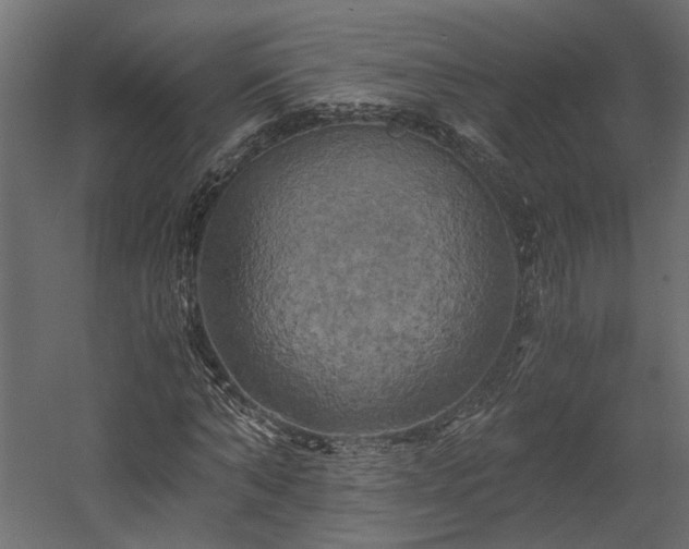 X0000058800870200510031317