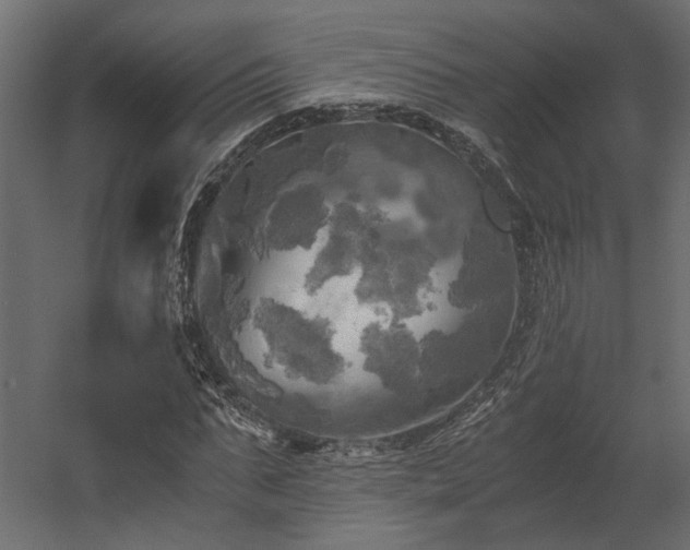 X0000058800871200510031317