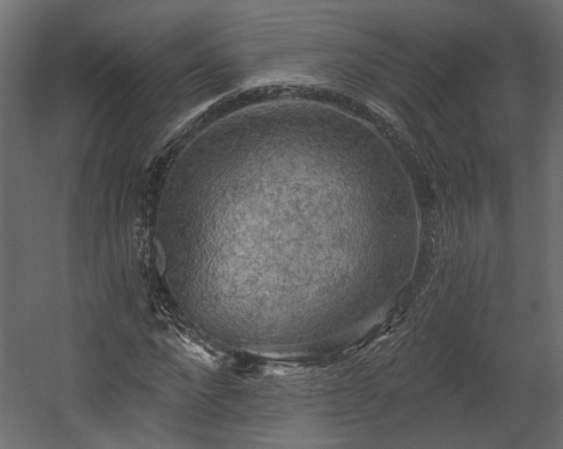 X0000058800872200510031317