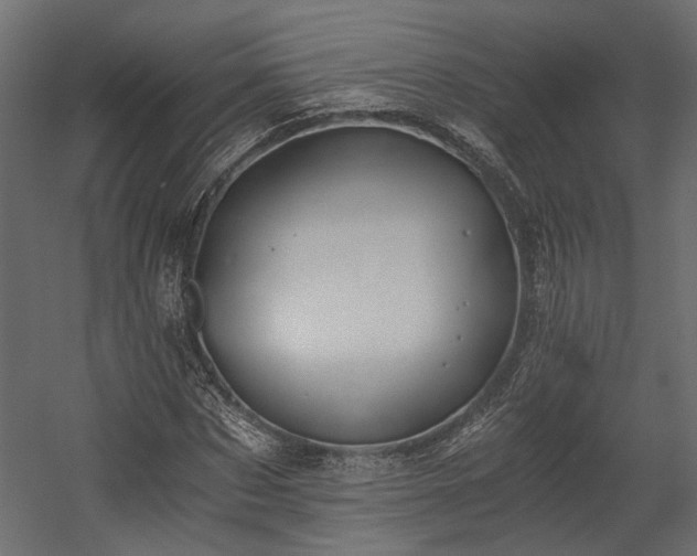 X0000058800873200510031317