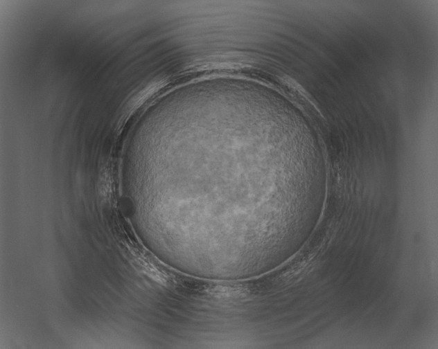 X0000058800874200510031317