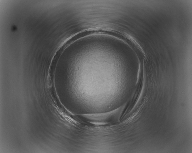 X0000058800876200510031317