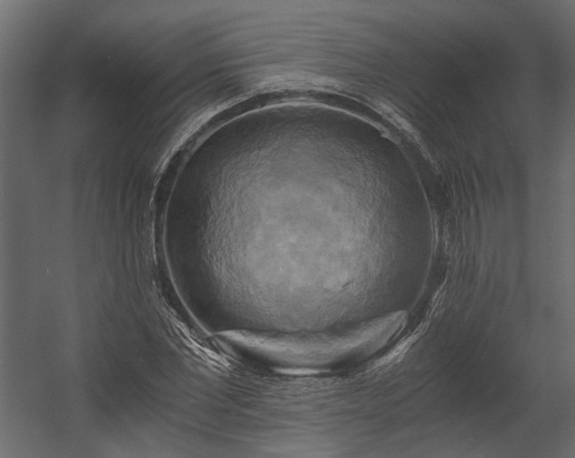 X0000058800877200510031317