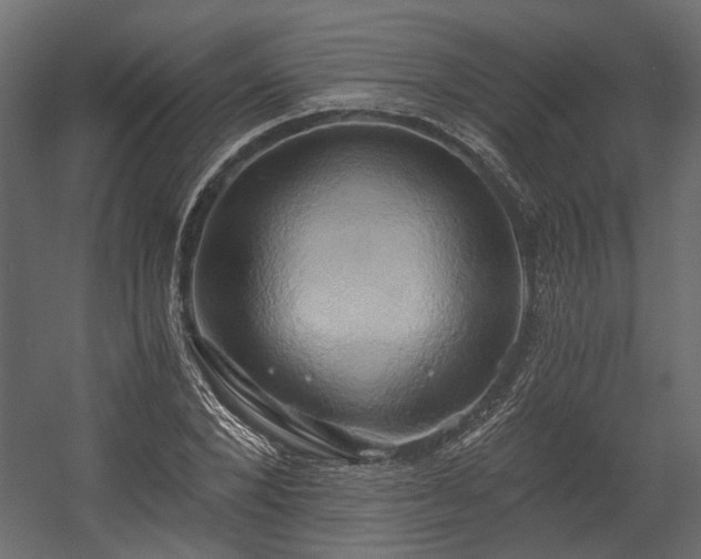 X0000058800880200510031317