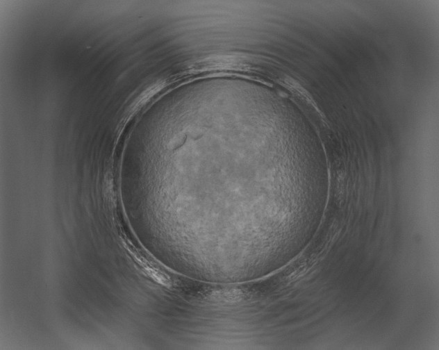 X0000058800882200510031317