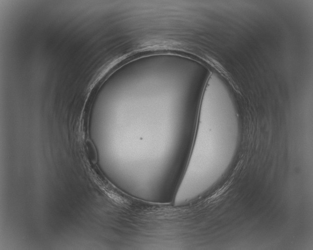 X0000058800885200510031317