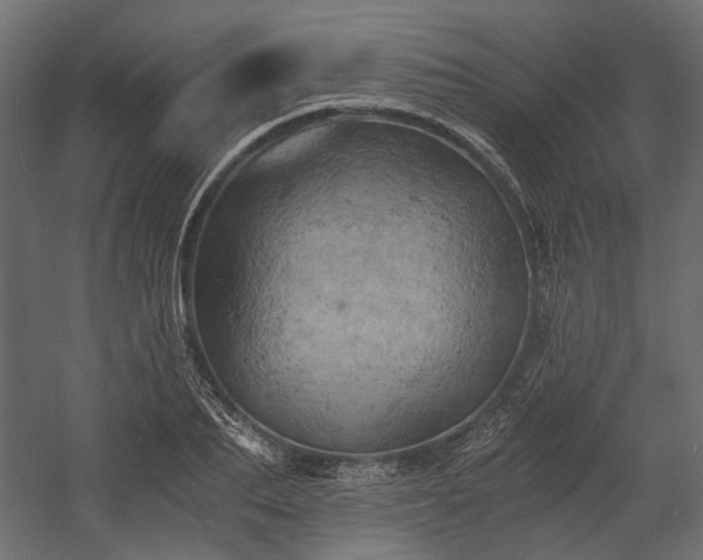 X0000058800887200510031317