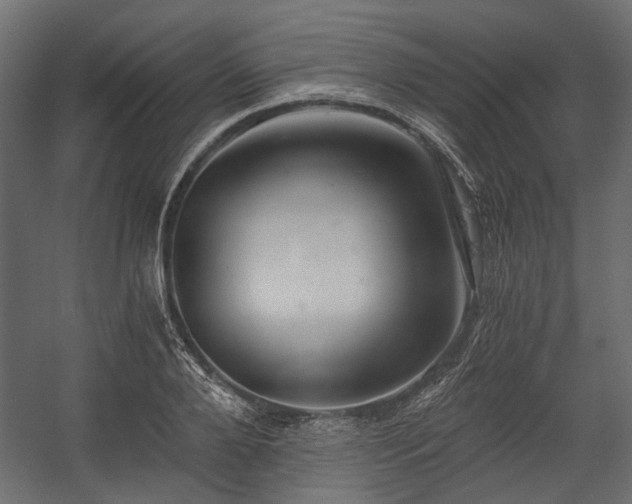 X0000058800888200510031317