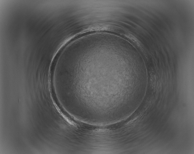 X0000058800894200510031317