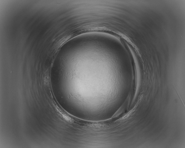 X0000058800897200510031317