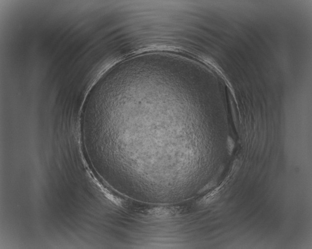 X0000058800898200510031317
