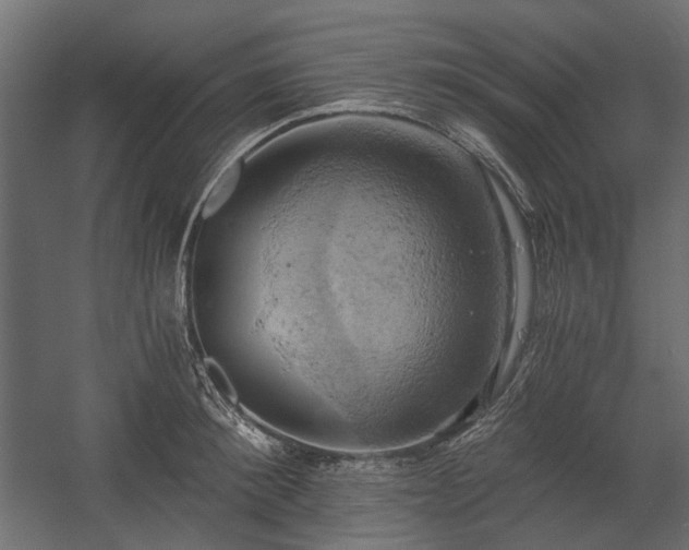 X0000058800900200510031317