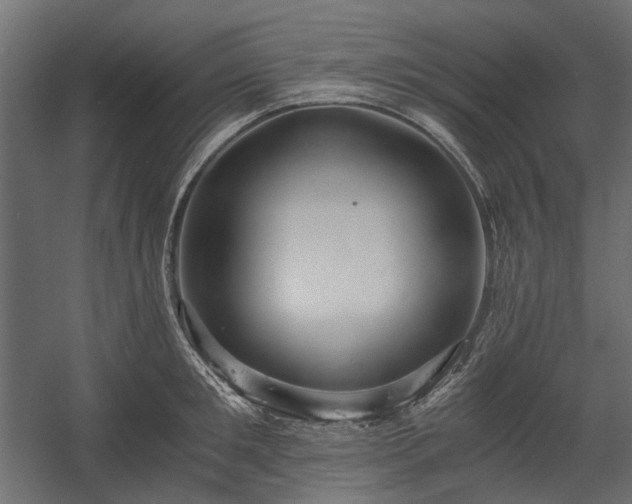X0000058800901200510031317