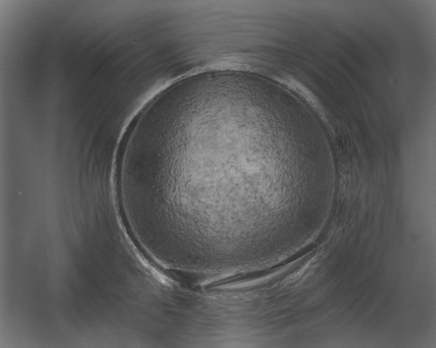 X0000058800902200510031317