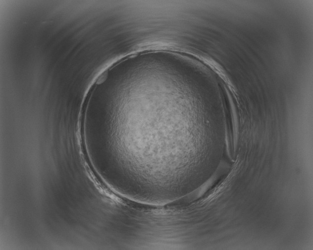 X0000058800904200510031317