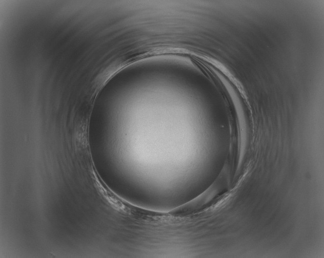 X0000058800905200510031317