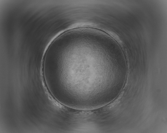 X0000058800912200510031317