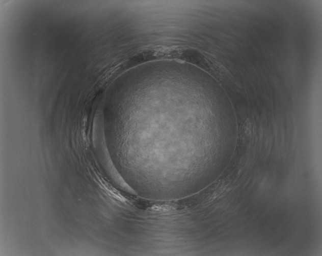 X0000058800914200510031316