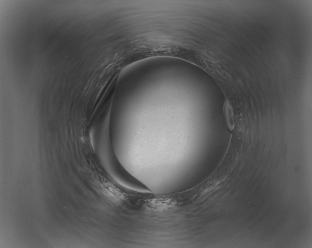 X0000058800916200510031316
