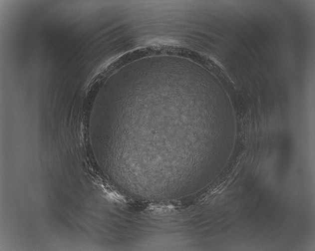 X0000058800919200510031316