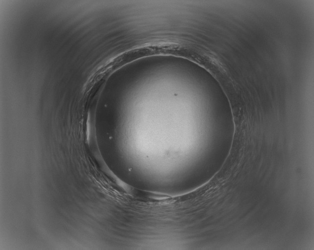 X0000058800920200510031316