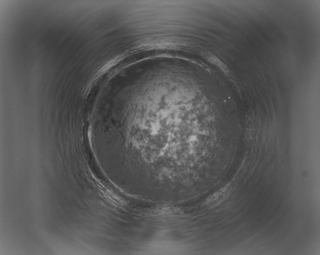 X0000058800922200510031316