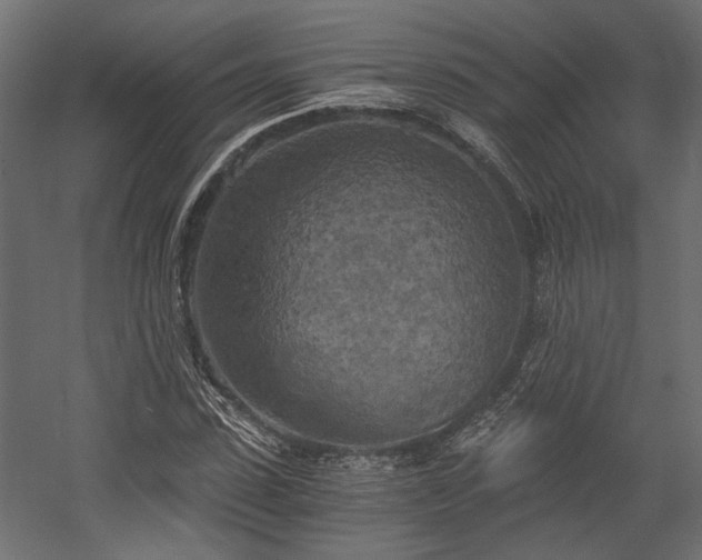 X0000058800923200510031316