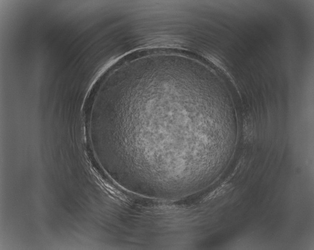 X0000058800925200510031316