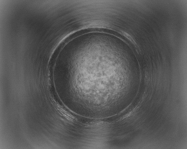X0000058800926200510031316