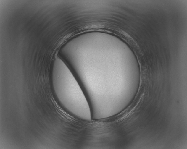 X0000058800929200510031316