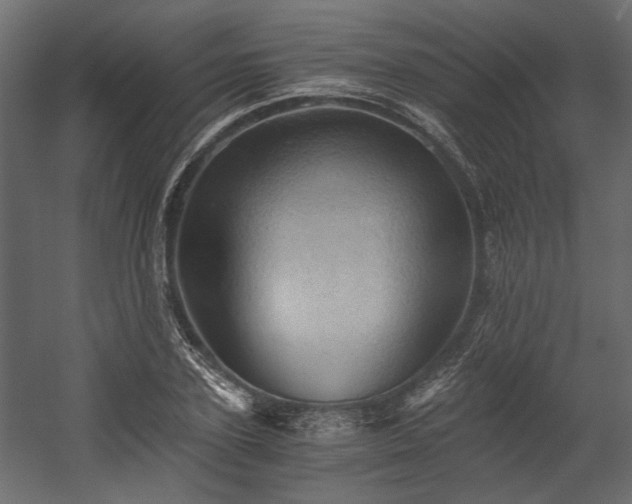 X0000058800931200510031316
