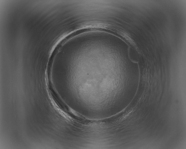 X0000058800936200510031316